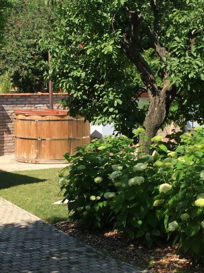 Gete Vendeghaz Villa Csolnok Exterior foto